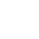 logo 80